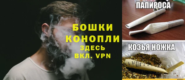 дживик Белокуриха