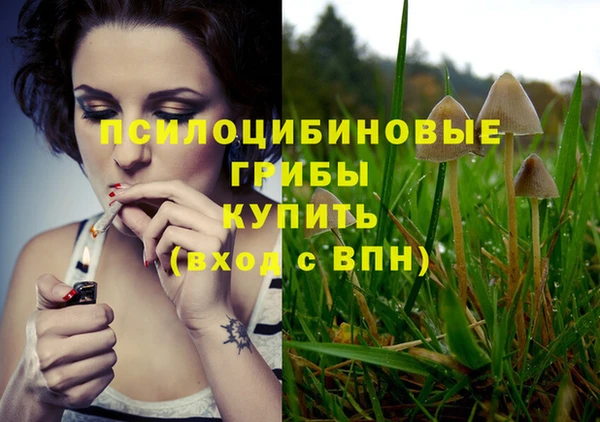 дмт Беломорск